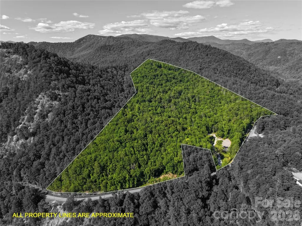 4017 Canada Road Tuckasegee NC 28783