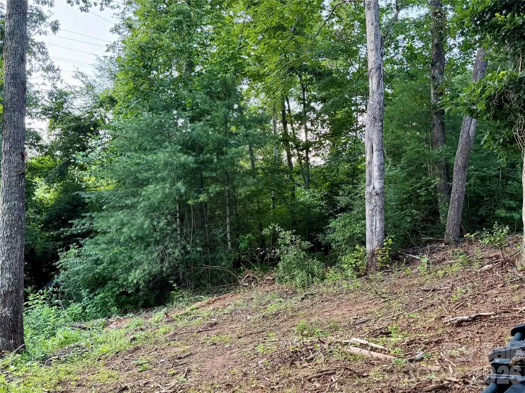 251 Cox Road Pisgah Forest NC 28768
