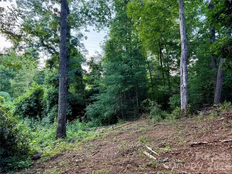 251 Cox Road Pisgah Forest NC 28768