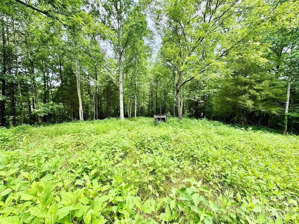 000 Butler Mill Road Harmony NC 28634