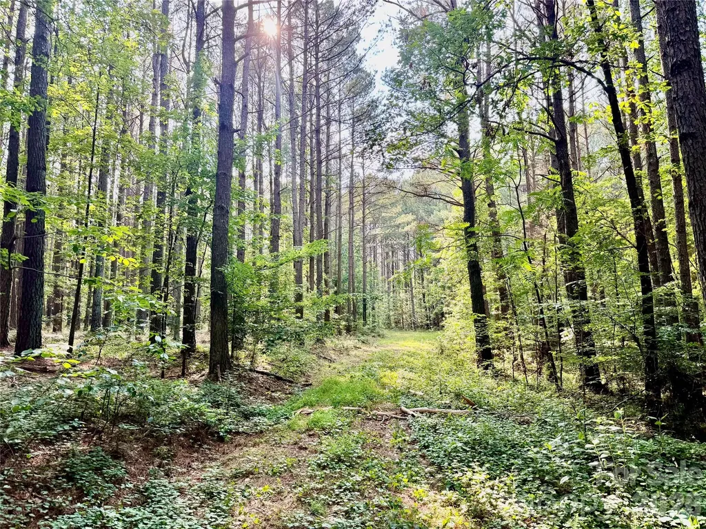 000 Butler Mill Road Harmony NC 28634