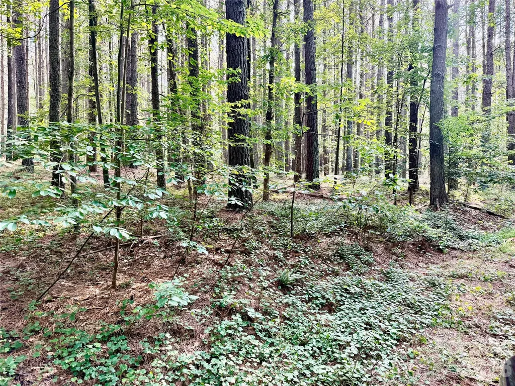 000 Butler Mill Road Harmony NC 28634