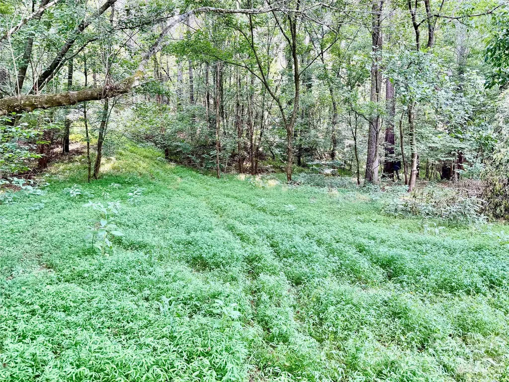 000 Butler Mill Road Harmony NC 28634