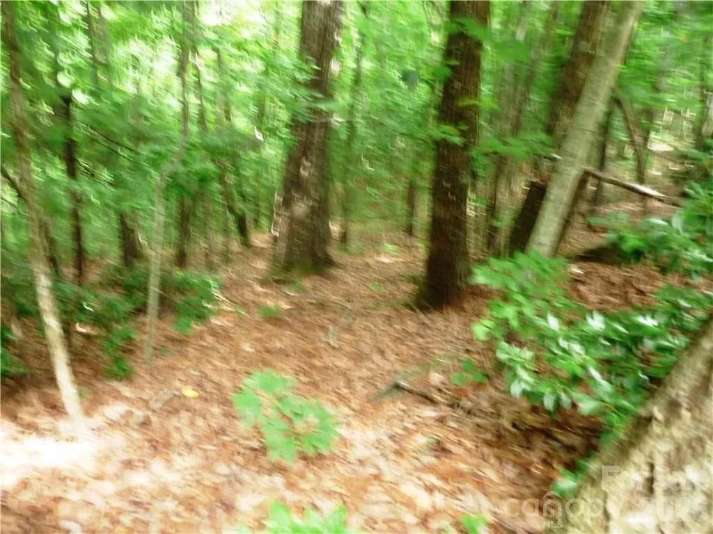 360 Kenmure Drive Flat Rock NC 28731