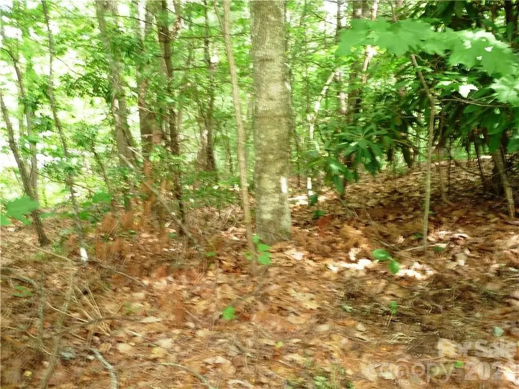 360 Kenmure Drive Flat Rock NC 28731
