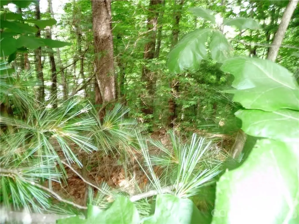 360 Kenmure Drive Flat Rock NC 28731