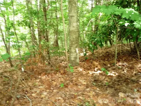 360 Kenmure Drive Flat Rock NC 28731