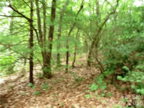 360 Kenmure Drive Flat Rock NC 28731