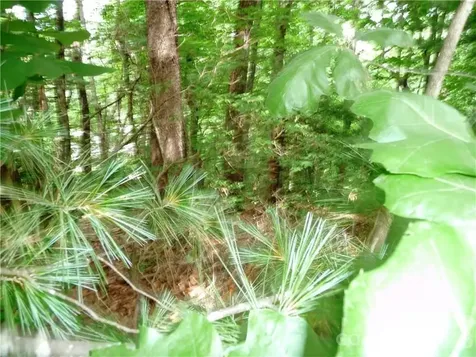 360 Kenmure Drive Flat Rock NC 28731