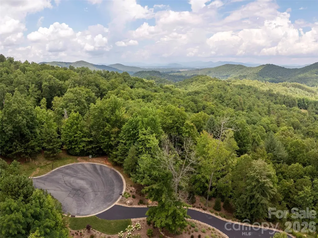 71 Yellow Wood Lane Horse Shoe NC 28742