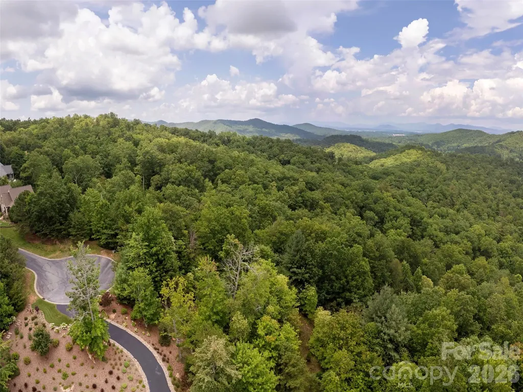 71 Yellow Wood Lane Horse Shoe NC 28742