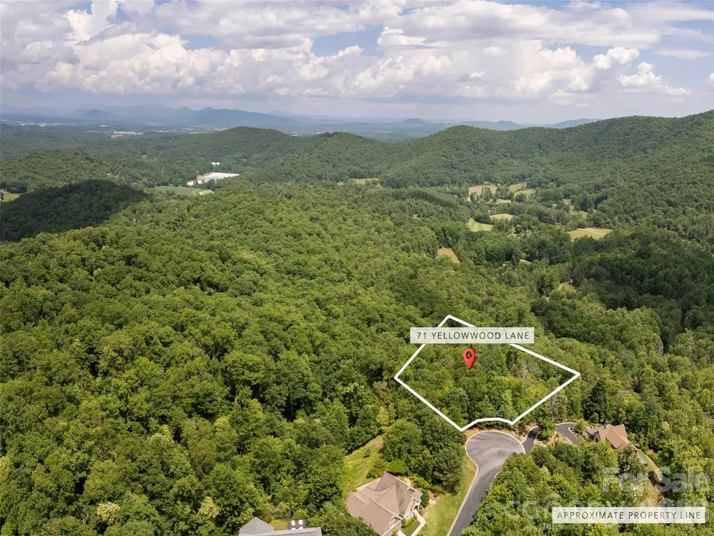 71 Yellow Wood Lane Horse Shoe NC 28742