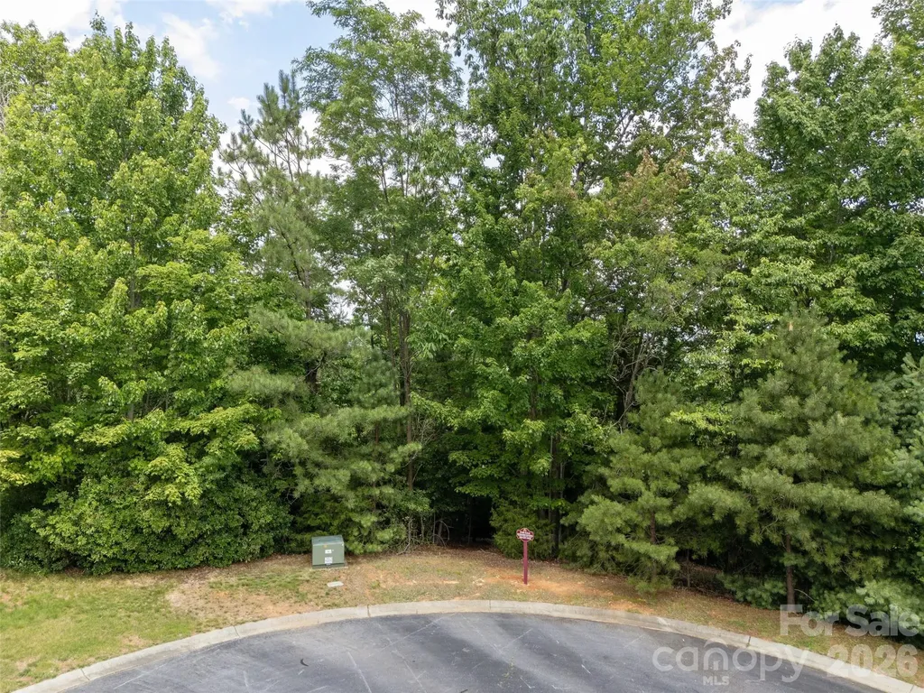 71 Yellow Wood Lane Horse Shoe NC 28742