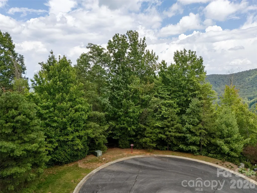 71 Yellow Wood Lane Horse Shoe NC 28742