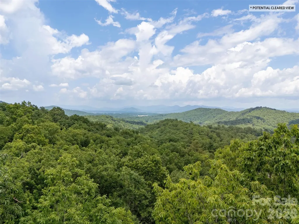 71 Yellow Wood Lane Horse Shoe NC 28742