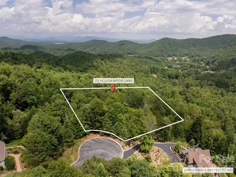 71 Yellow Wood Lane Horse Shoe NC 28742