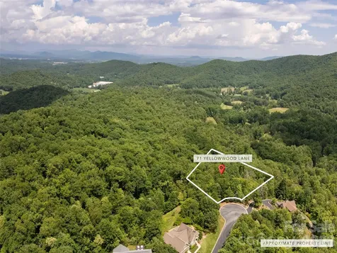 71 Yellow Wood Lane Horse Shoe NC 28742