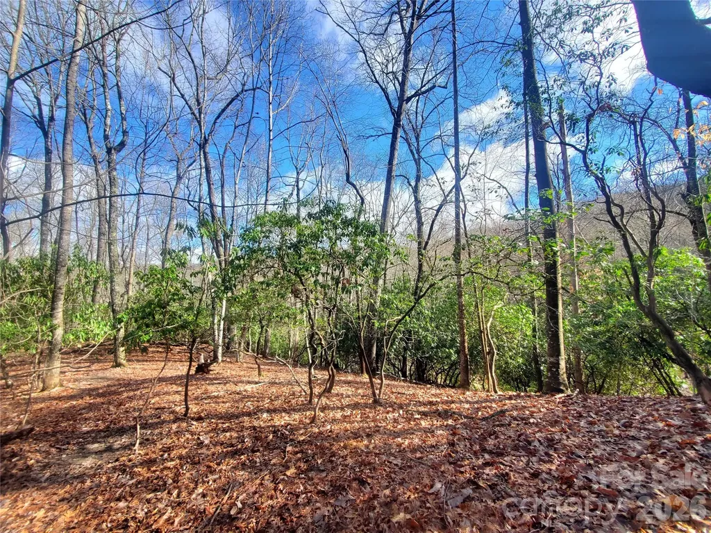 Tbd Skye Drive Pisgah Forest NC 28768