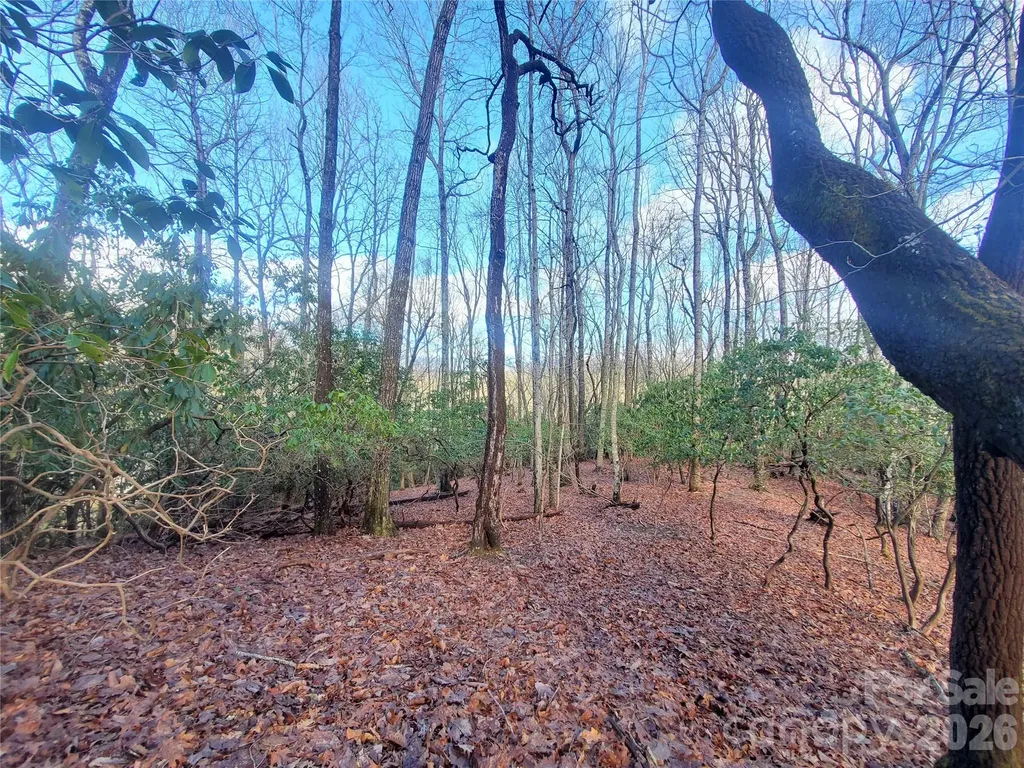 Tbd Skye Drive Pisgah Forest NC 28768