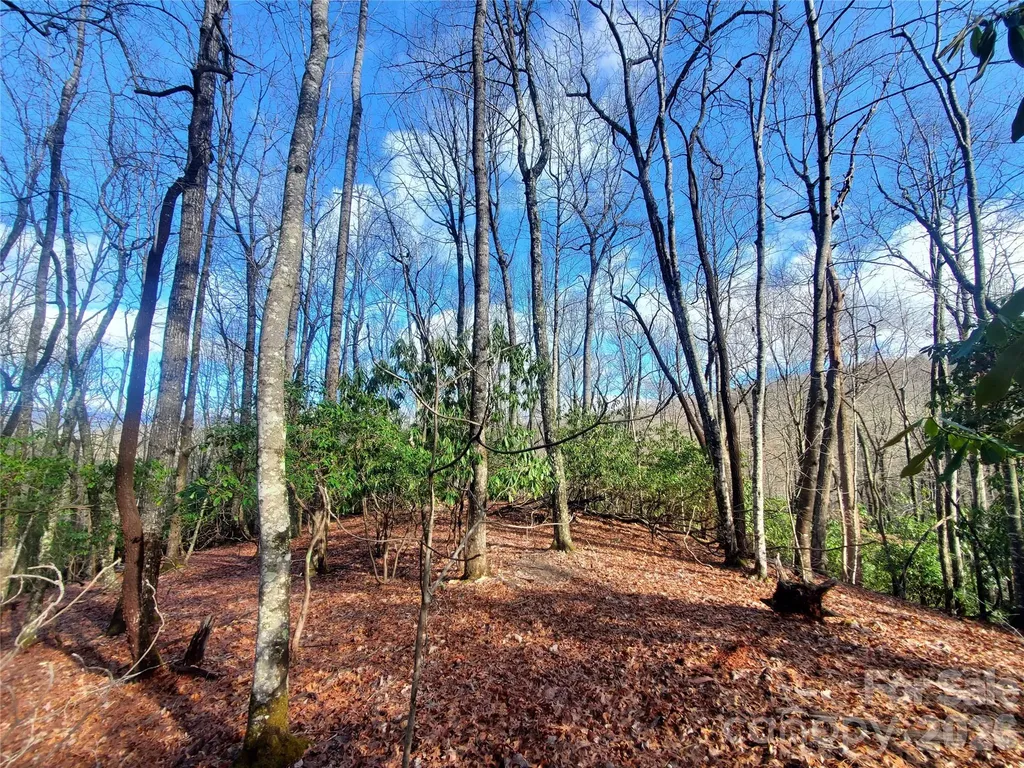 Tbd Skye Drive Pisgah Forest NC 28768