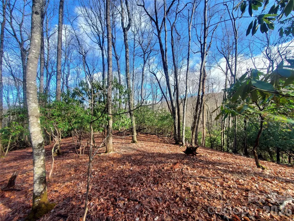 Tbd Skye Drive Pisgah Forest NC 28768