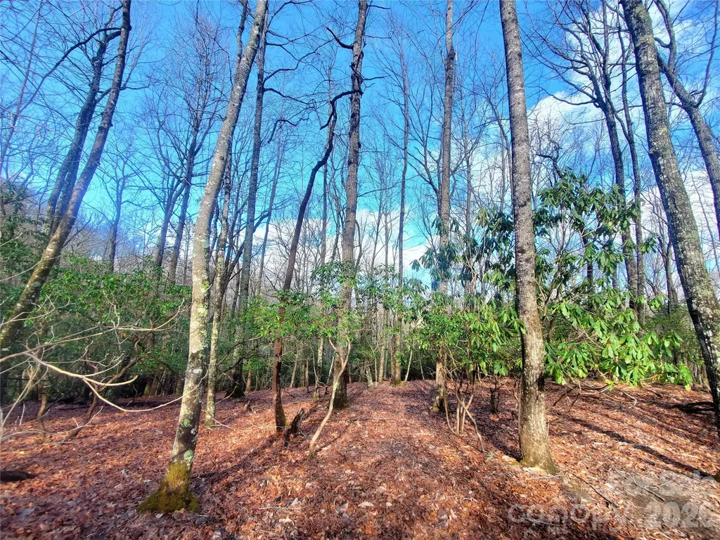 Tbd Skye Drive Pisgah Forest NC 28768