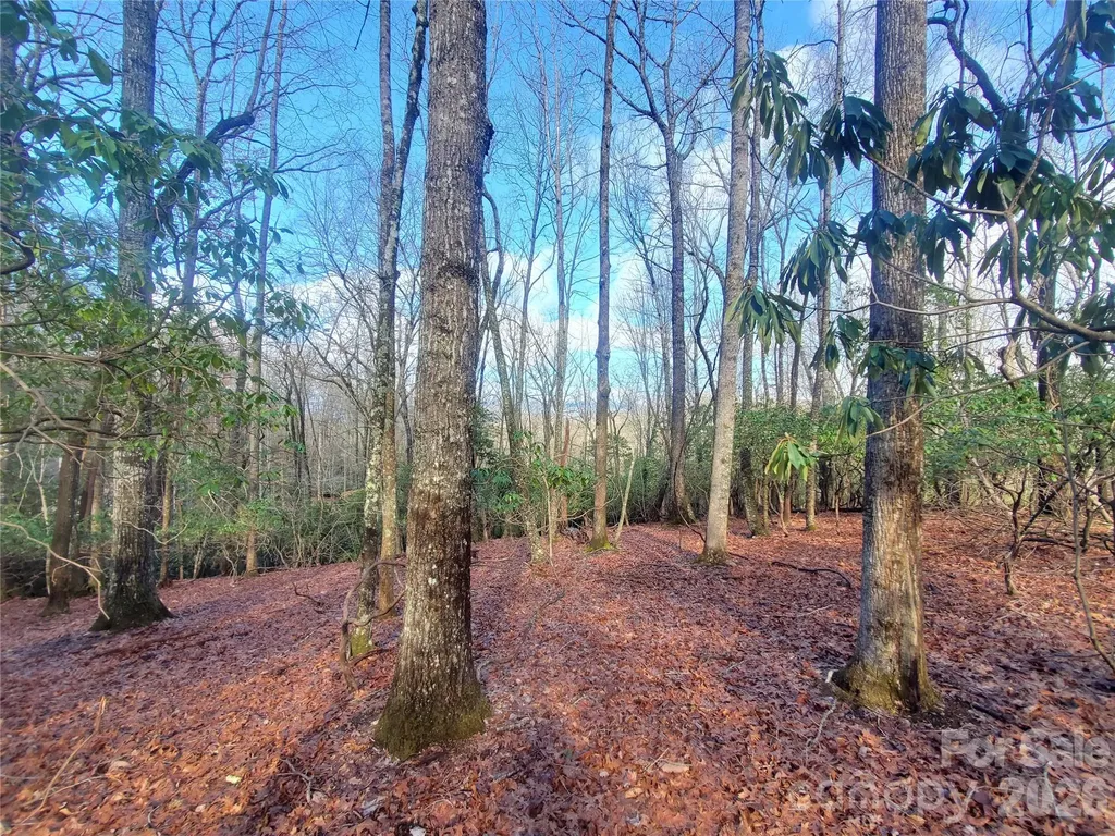 Tbd Skye Drive Pisgah Forest NC 28768