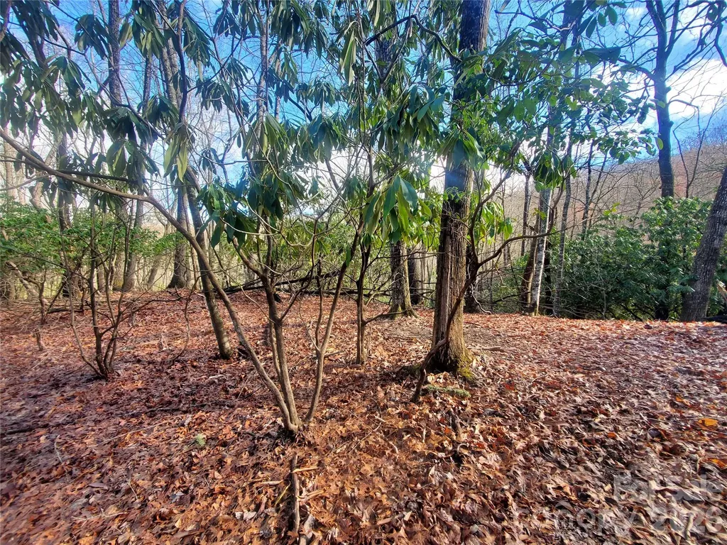 Tbd Skye Drive Pisgah Forest NC 28768