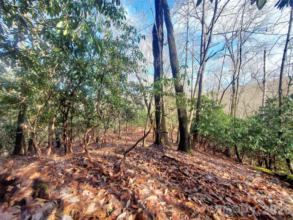 Tbd Skye Drive Pisgah Forest NC 28768