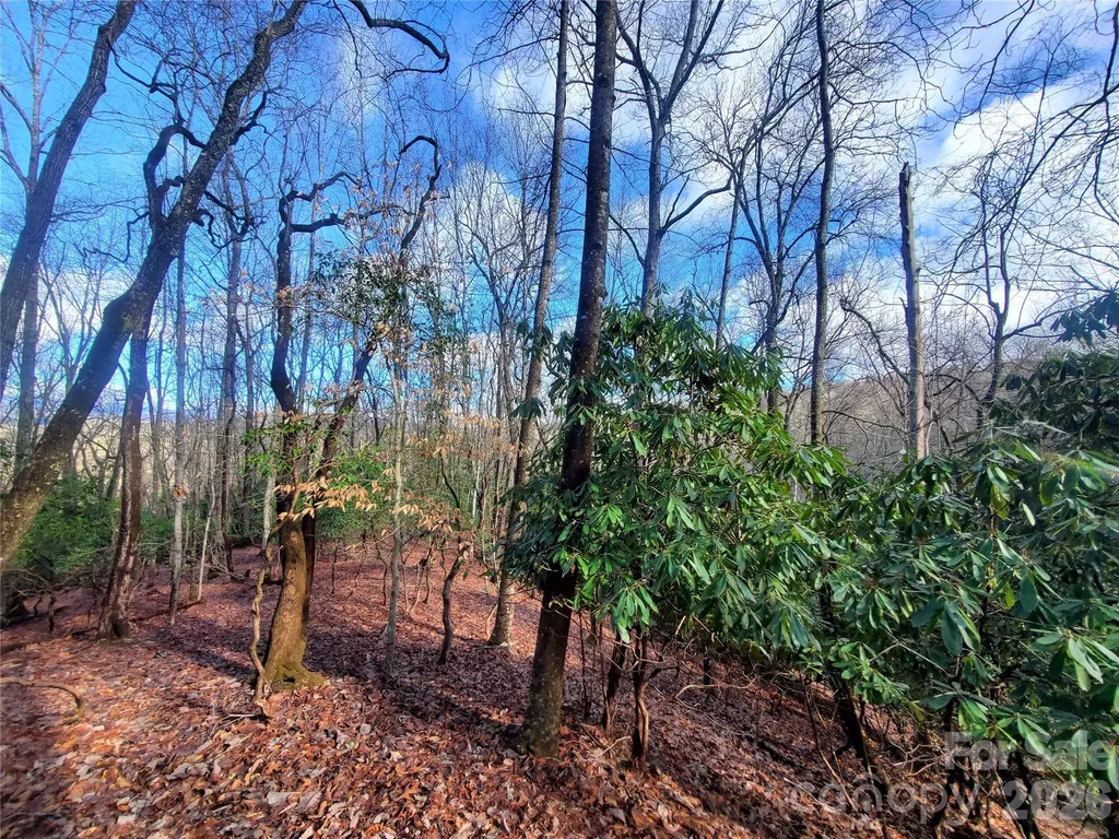 Tbd Skye Drive Pisgah Forest NC 28768