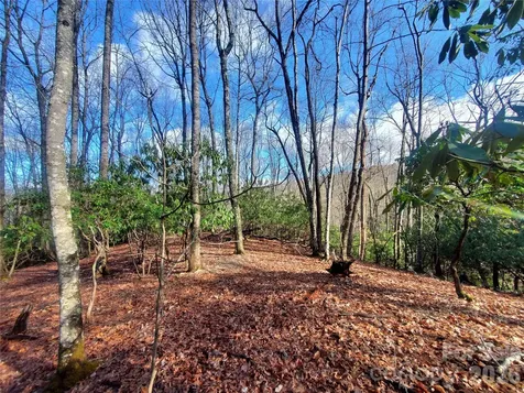 Tbd Skye Drive Pisgah Forest NC 28768