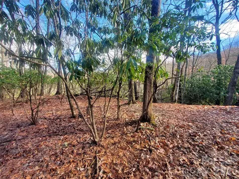 Tbd Skye Drive Pisgah Forest NC 28768