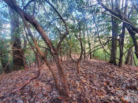 Tbd Skye Drive Pisgah Forest NC 28768
