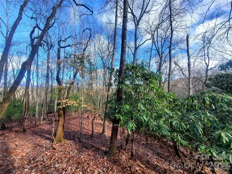 Tbd Skye Drive Pisgah Forest NC 28768