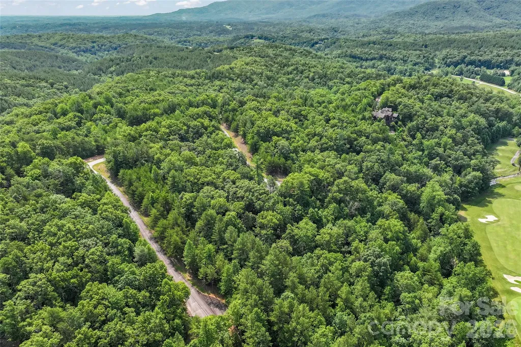 Lot 24 Monteith Place Mill Spring NC 28756