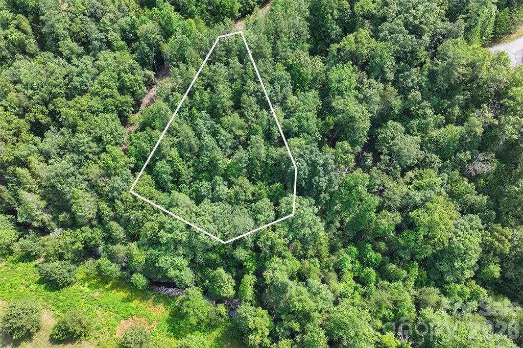 Lot 24 Monteith Place Mill Spring NC 28756