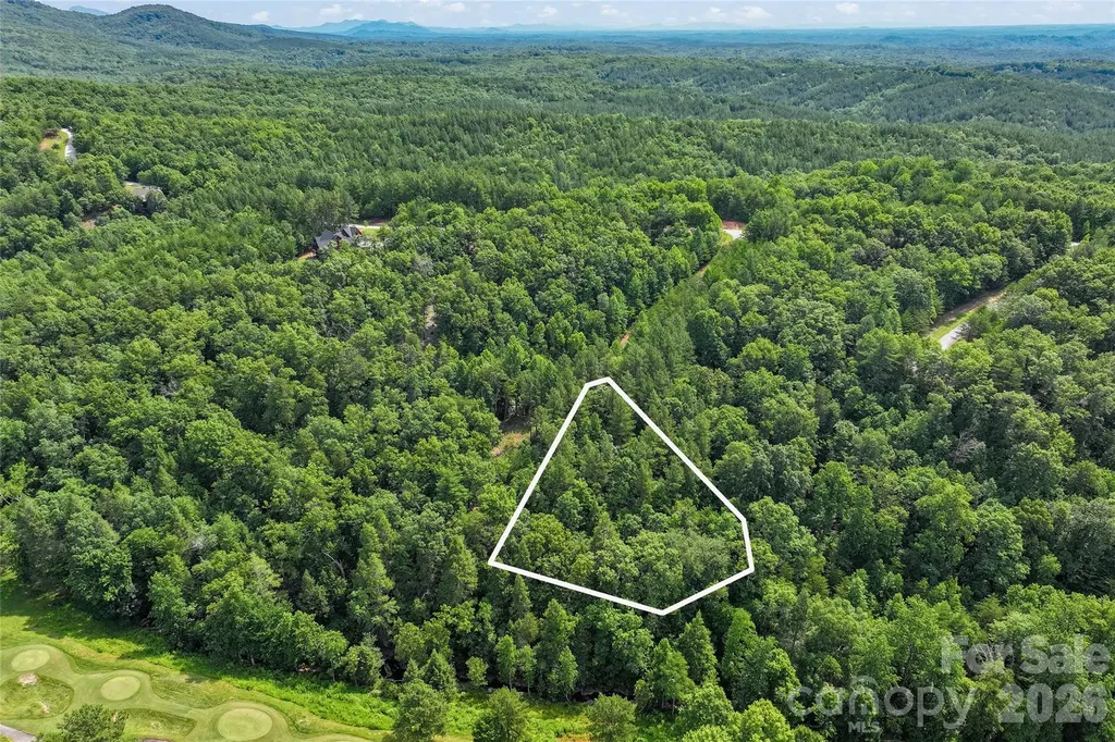 Lot 24 Monteith Place Mill Spring NC 28756
