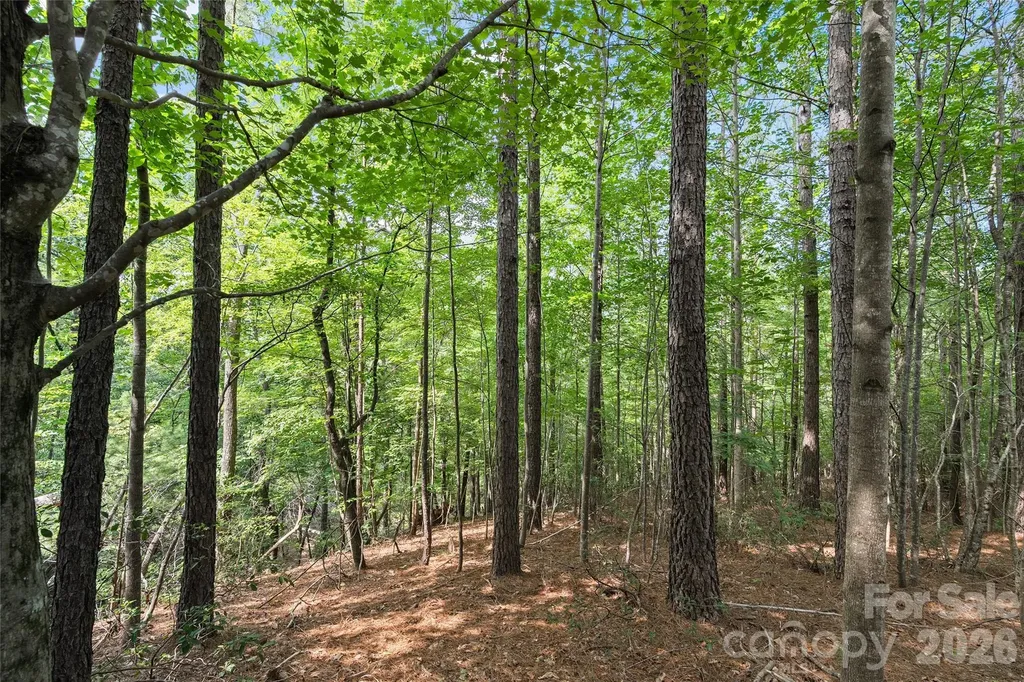 Lot 24 Monteith Place Mill Spring NC 28756