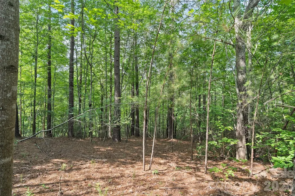 Lot 24 Monteith Place Mill Spring NC 28756