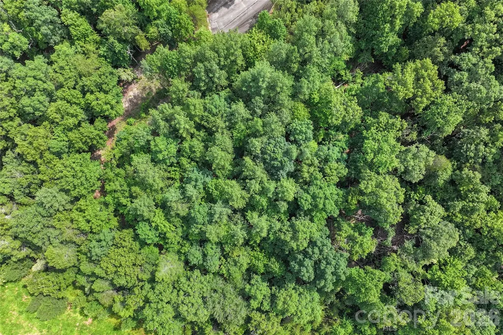 Lot 24 Monteith Place Mill Spring NC 28756