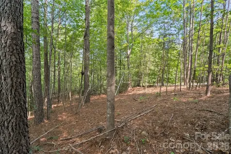 Lot 24 Monteith Place Mill Spring NC 28756