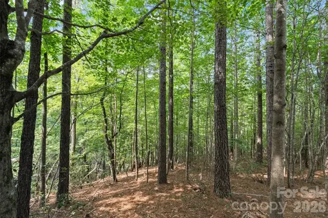 Lot 24 Monteith Place Mill Spring NC 28756