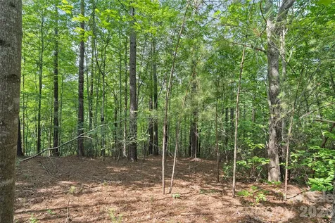 Lot 24 Monteith Place Mill Spring NC 28756