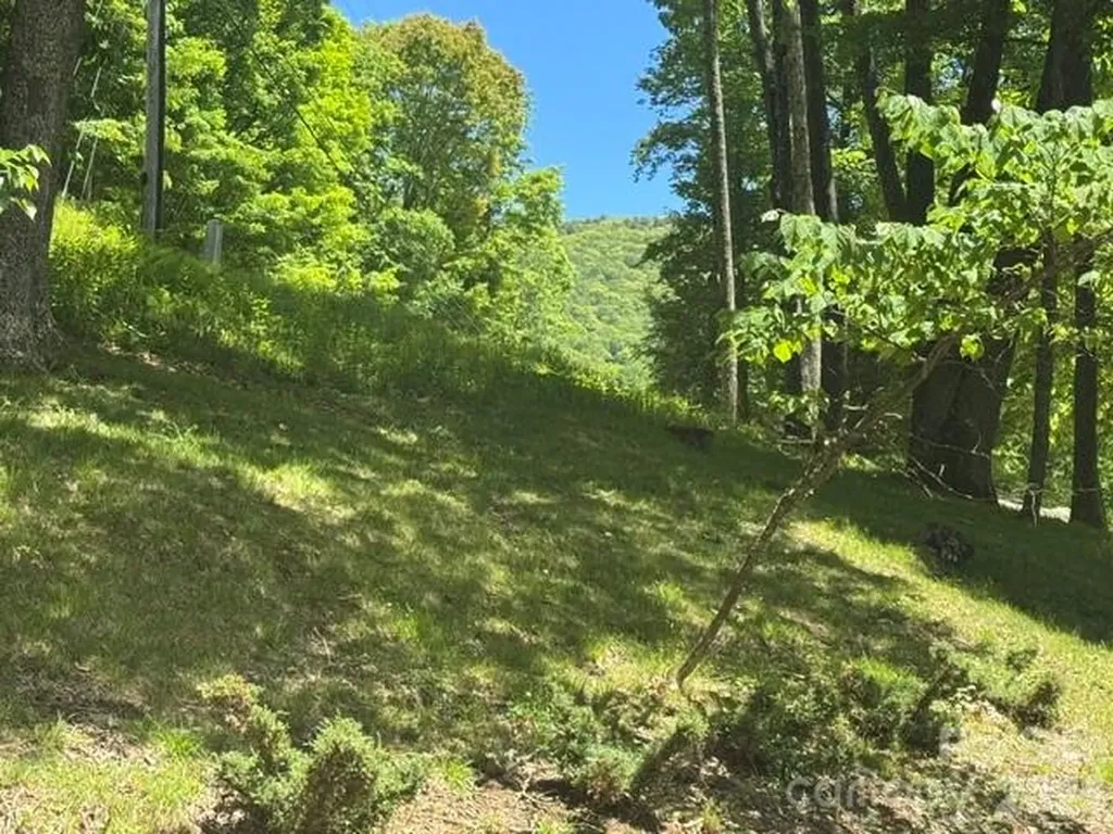 671 Trillium Lane Mars Hill NC 28754