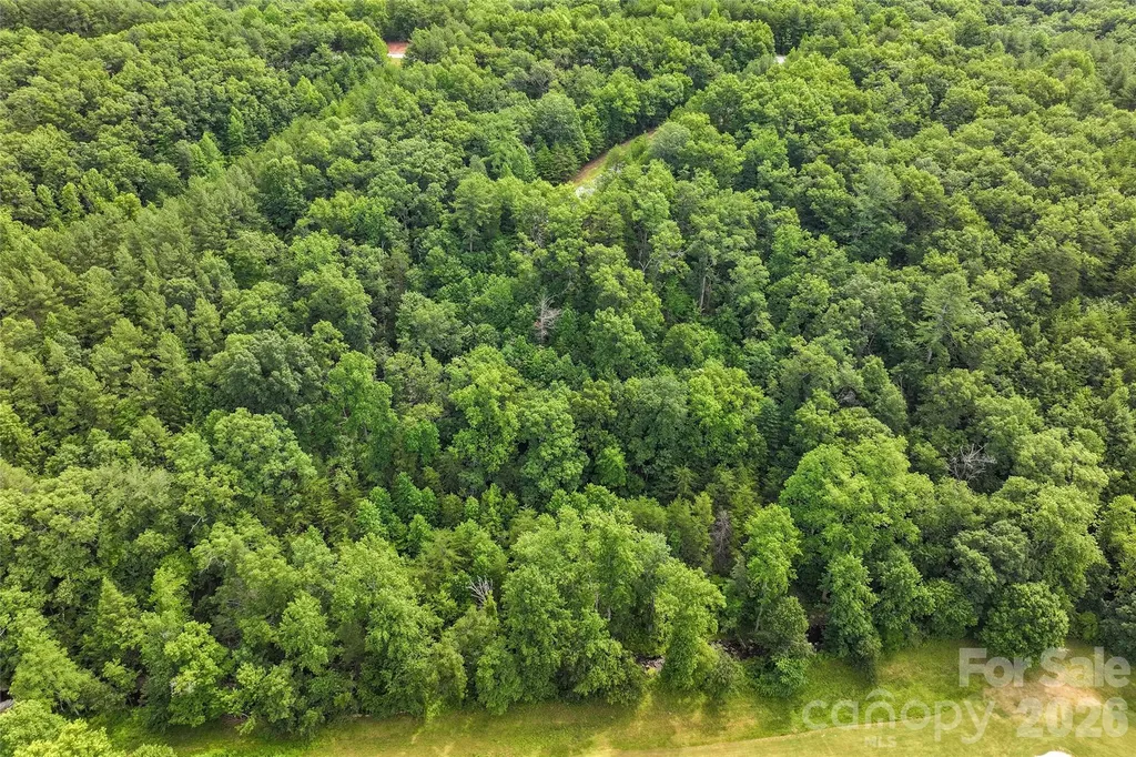 Lot 18 Stratford Place Mill Spring NC 28756