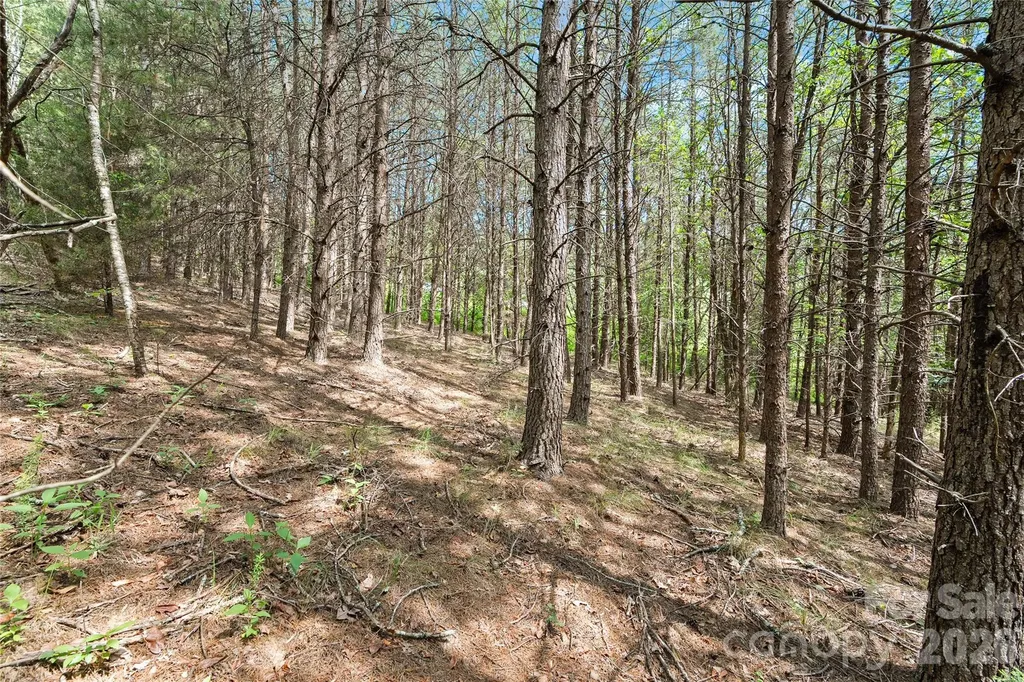 1361 E Deep Gap Farm Road Mill Spring NC 28756