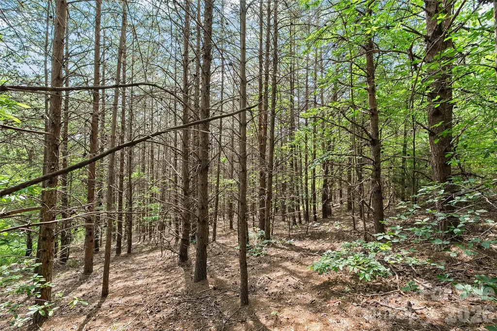 1361 E Deep Gap Farm Road Mill Spring NC 28756