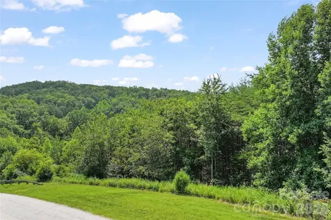 1361 E Deep Gap Farm Road Mill Spring NC 28756