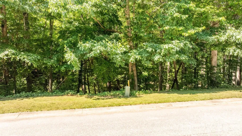 163 Shenandoah Loop Troutman NC 28166
