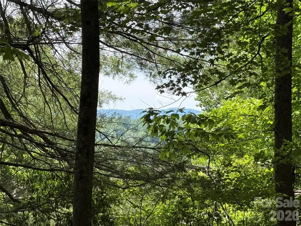 0000 Hardwood Summit Drive Hendersonville NC 28739
